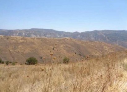 Galataria, Paphos Agricultural Field For Sale | WW27834