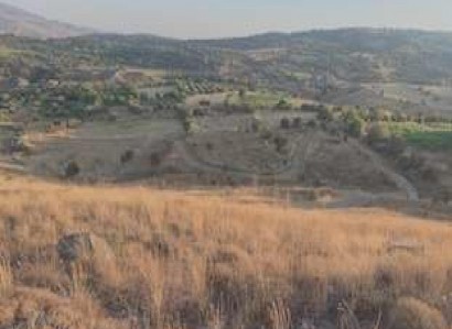 Galataria, Paphos Agricultural Field For Sale | WW27835