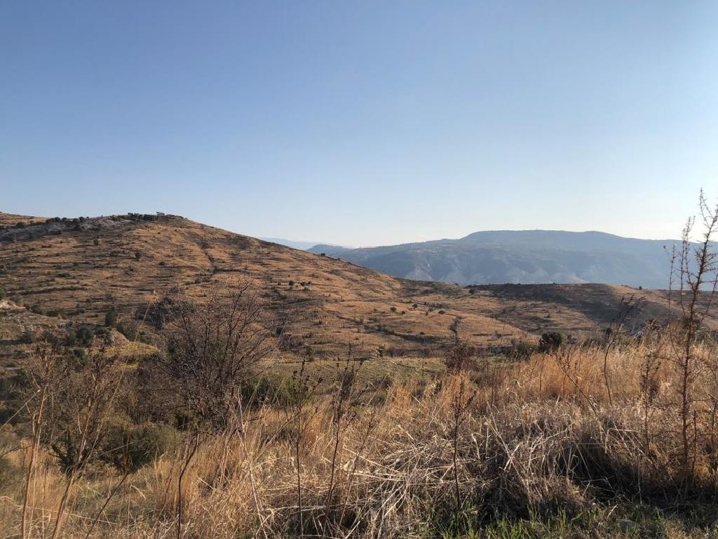 Koilineia, Paphos Agricultural Field For Sale | WW27837