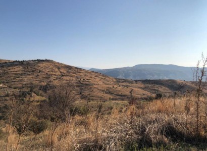 Koilineia, Paphos Agricultural Field For Sale | WW27837