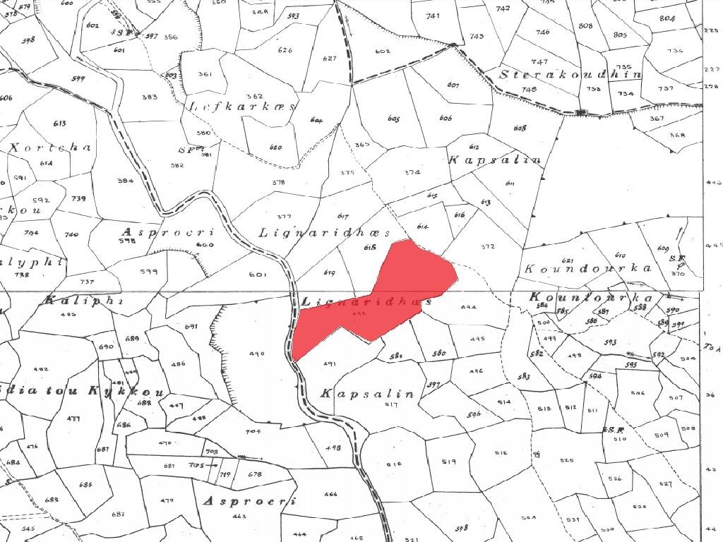 Field - Koilinia, Paphos