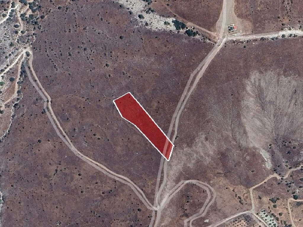 Field - Koilineia, Paphos