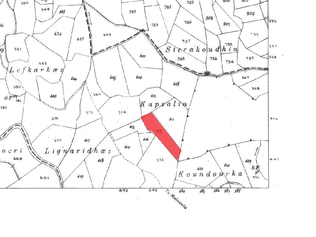 Field - Koilineia, Paphos