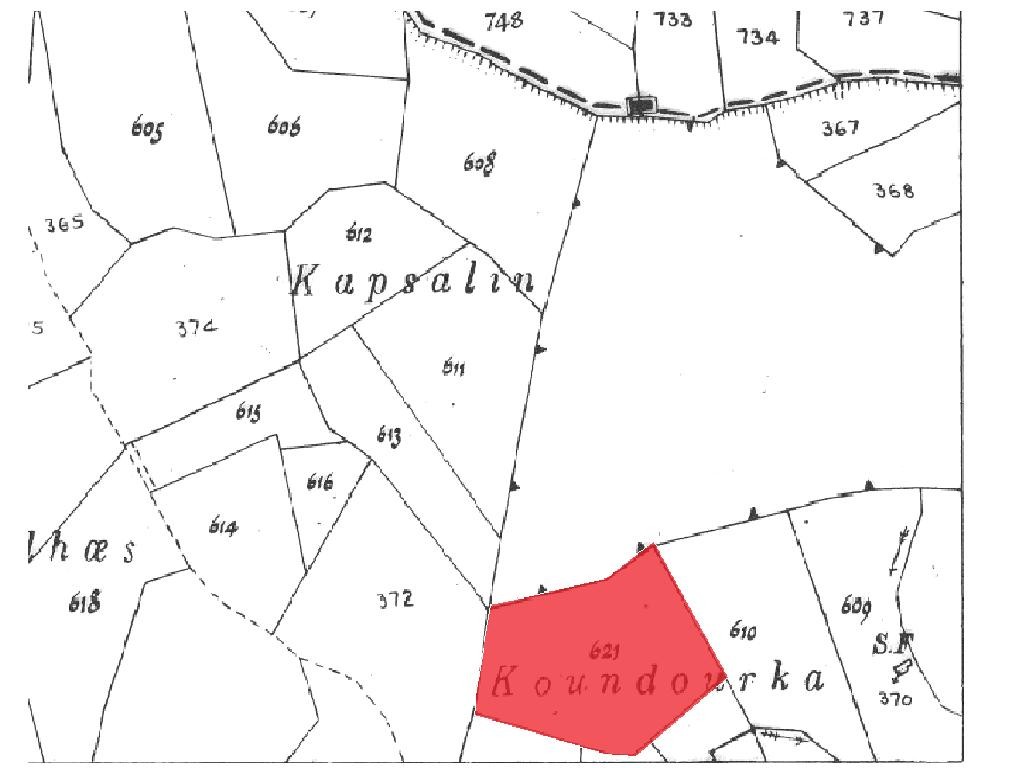 Field - Koilinia, Paphos
