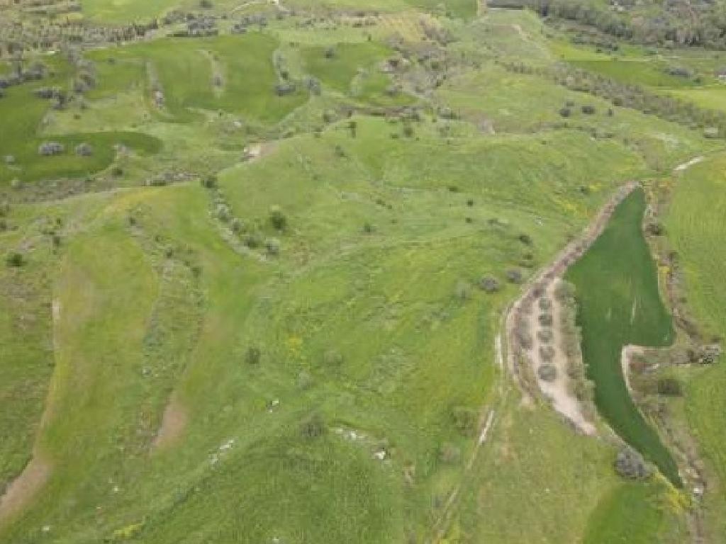 Lasa, Paphos Agricultural Field For Sale | WW27845