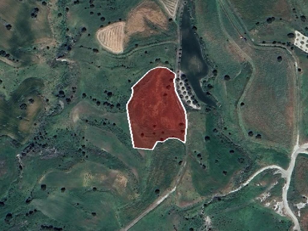 Field - Lasa, Paphos