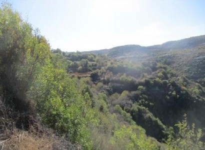 Pano Akourdaleia Agricultural Field For Sale | WW27848