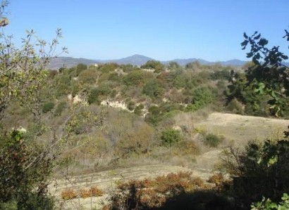 Pano Akourdaleia Agricultural Field For Sale | WW27848