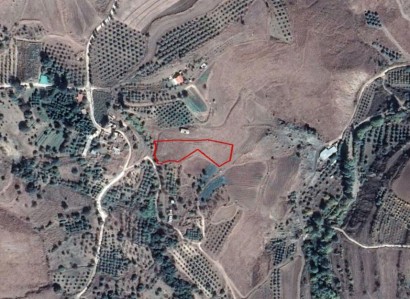 Kannaviou, Paphos Agricultural Field For Sale | WW27852