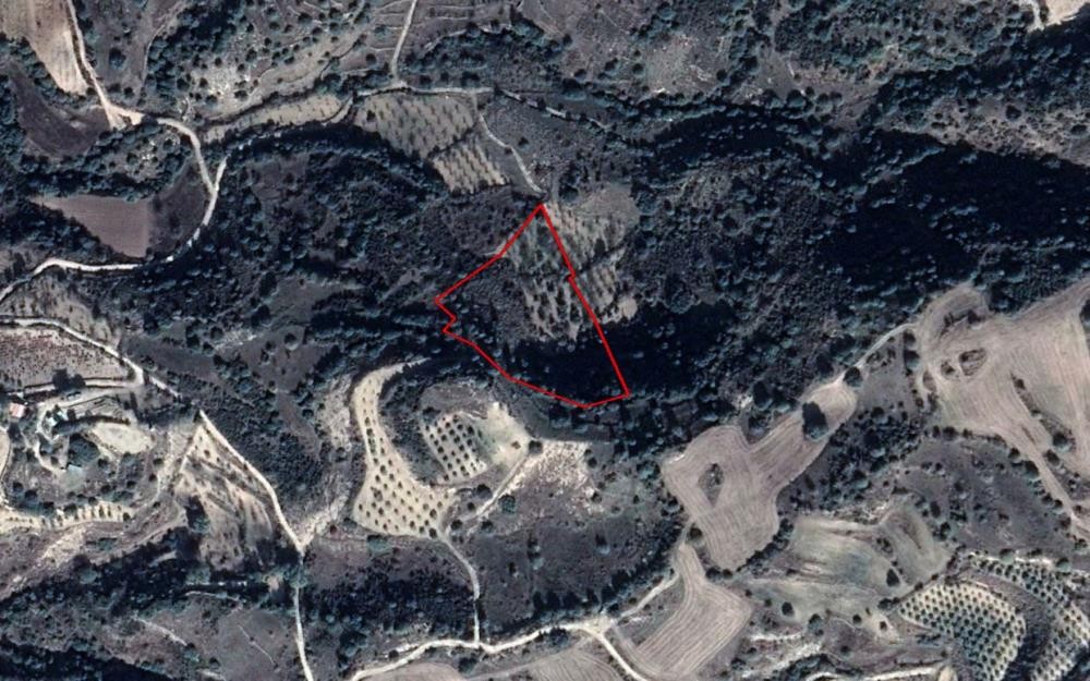 Lemona, Paphos Agricultural Field For Sale | WW27855