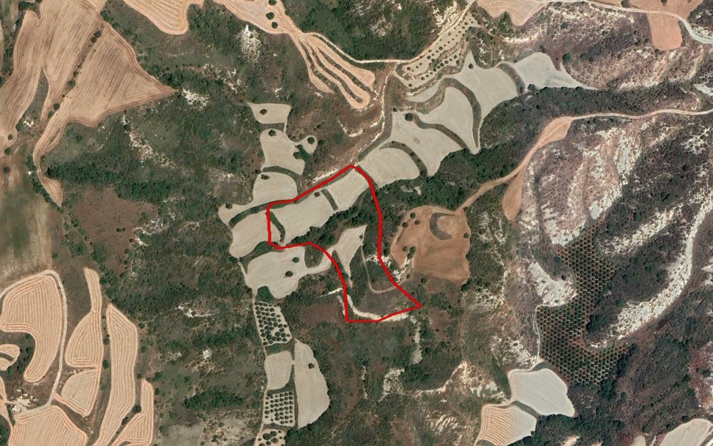 Steni, Paphos Agricultural Field For Sale | WW27863