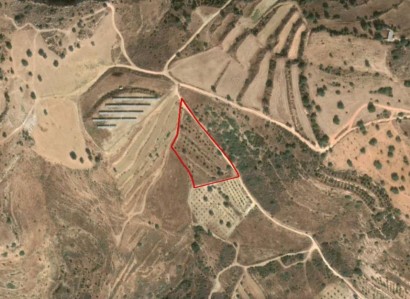 Tala, Paphos Agricultural Field For Sale | WW27864