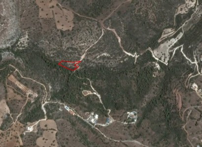 Neo Chorio, Paphos Agricultural Field For Sale | WW27867