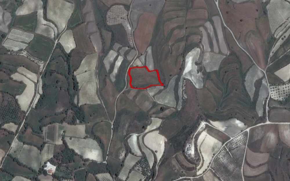 Stroumbi, Paphos Agricultural Field For Sale | WW27869