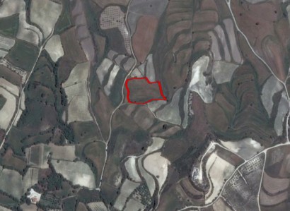 Stroumbi, Paphos Agricultural Field For Sale | WW27869