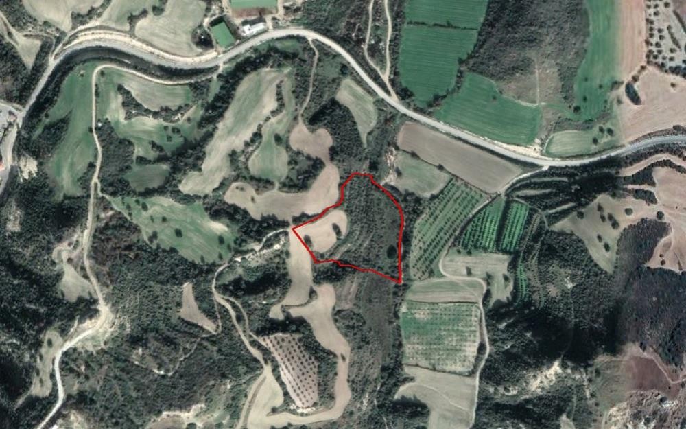 Chrysochou, Paphos Agricultural Field For Sale | WW27876