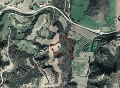 Chrysochou, Paphos Agricultural Field For Sale | WW27876