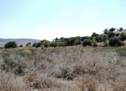Kritou Marottou Agricultural Field For Sale | WW27877