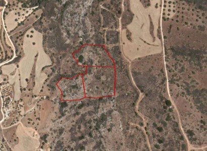 Pelathousa, Paphos Agricultural Field For Sale | WW27878