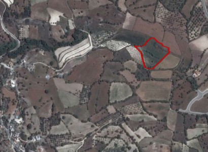 Lasa, Paphos Agricultural Field For Sale | WW27882
