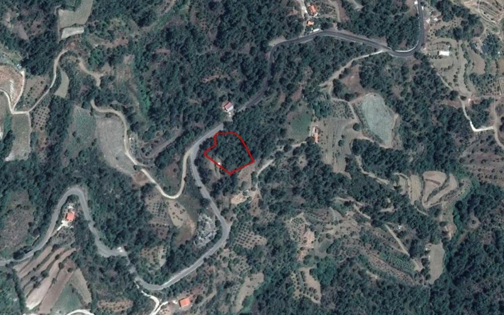 Panagia, Paphos Agricultural Field For Sale | WW27883