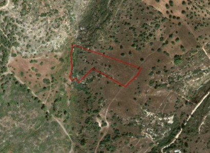 Neo Chorio, Paphos Agricultural Field For Sale | WW27887