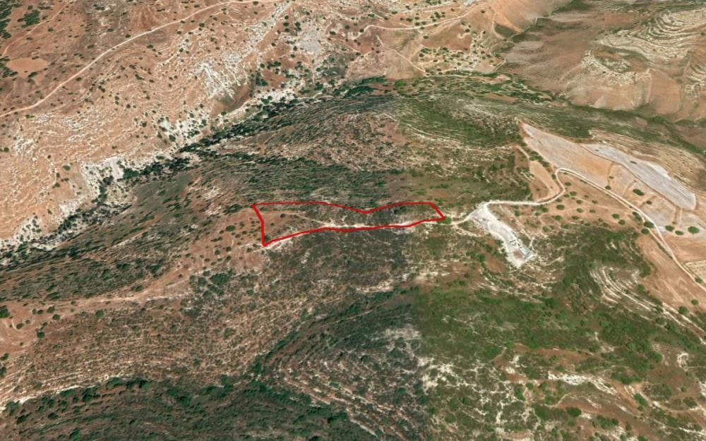 Peyia, Paphos Agricultural Field For Sale | WW27888