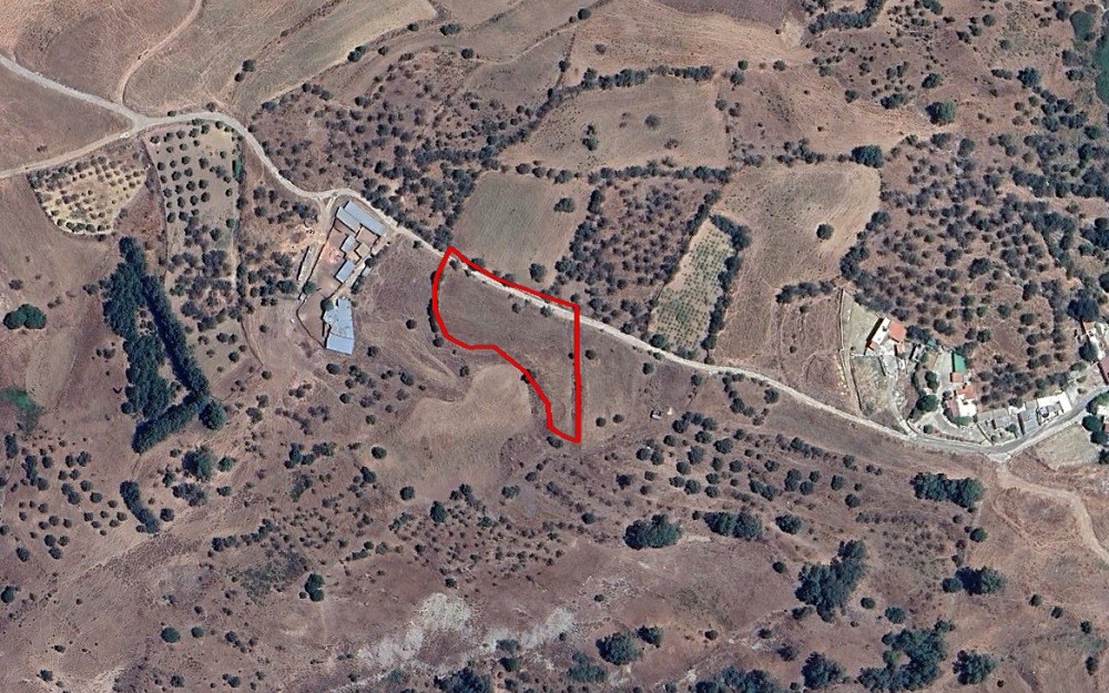 Kelokedara, Paphos Agricultural Field For Sale | WW27891