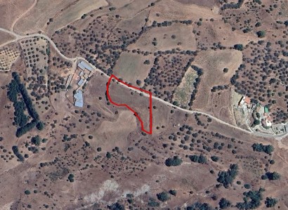 Kelokedara, Paphos Agricultural Field For Sale | WW27891