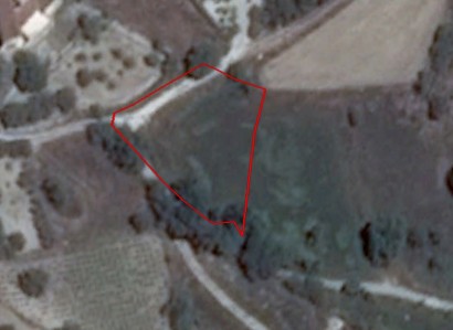 Stroumbi, Paphos Agricultural Field For Sale | WW27901