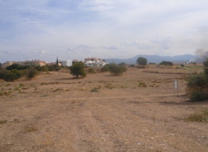 Polis Chrysochous Residential Field For Sale | WW27911