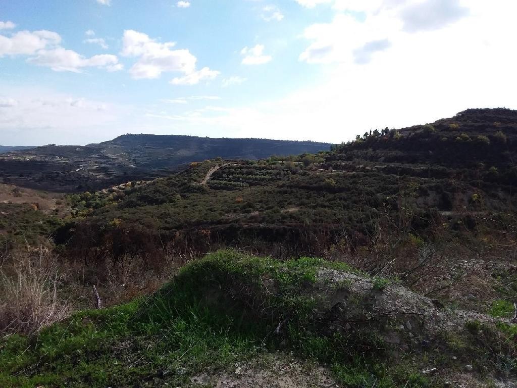 Pachna, Limassol Agricultural Field For Sale | WW27913