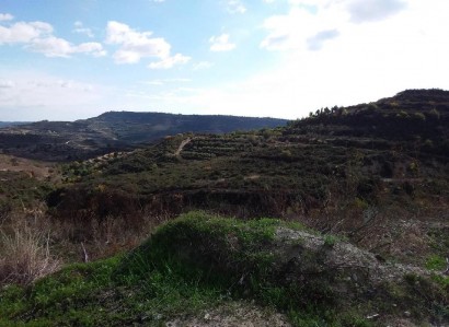 Pachna, Limassol Agricultural Field For Sale | WW27913