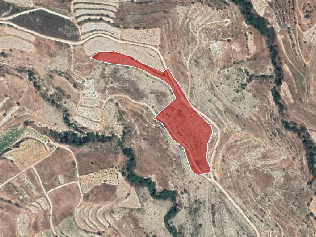 Field - Pachna, Limassol