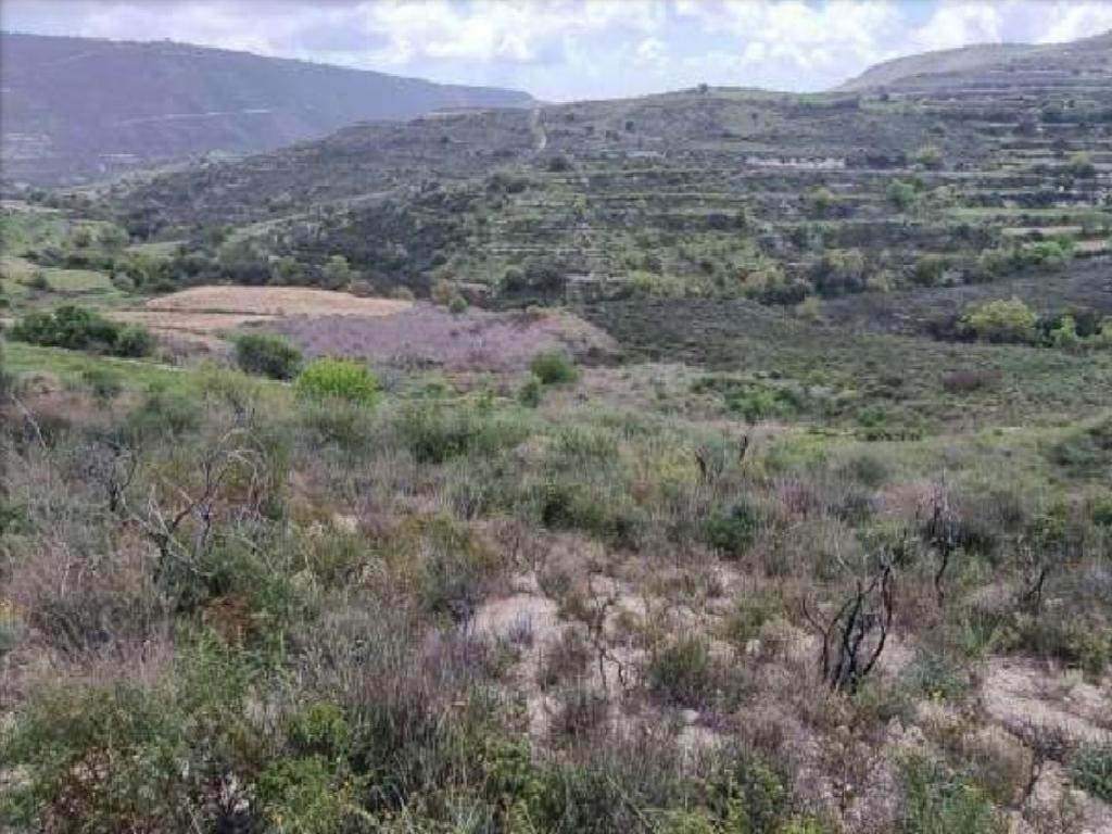 Pachna, Limassol Agricultural Field For Sale | WW27914