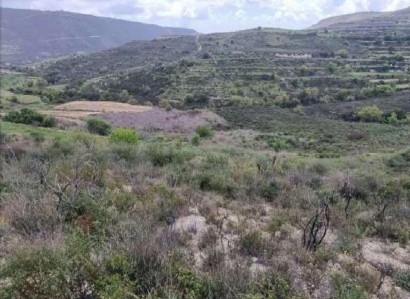 Pachna, Limassol Agricultural Field For Sale | WW27914