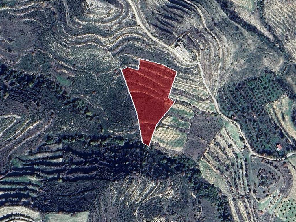 Field - Pachna, Limassol