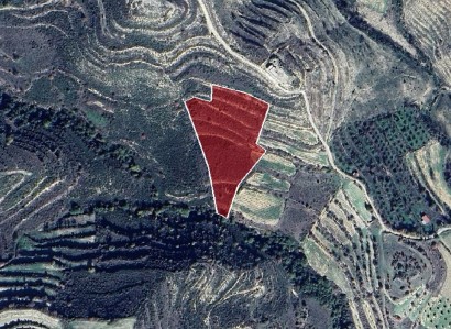 Pachna, Limassol Agricultural Field For Sale | WW27914