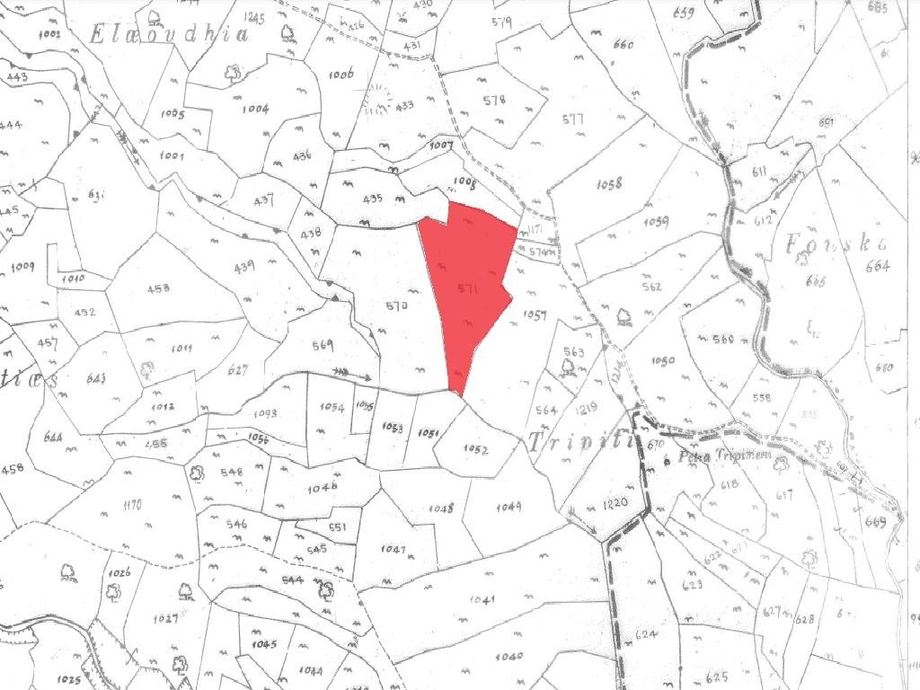 Field - Pachna, Limassol