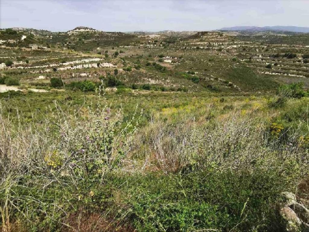 Pachna, Limassol Agricultural Field For Sale | WW27915