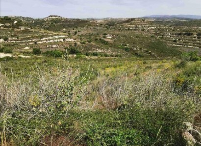 Pachna, Limassol Agricultural Field For Sale | WW27915