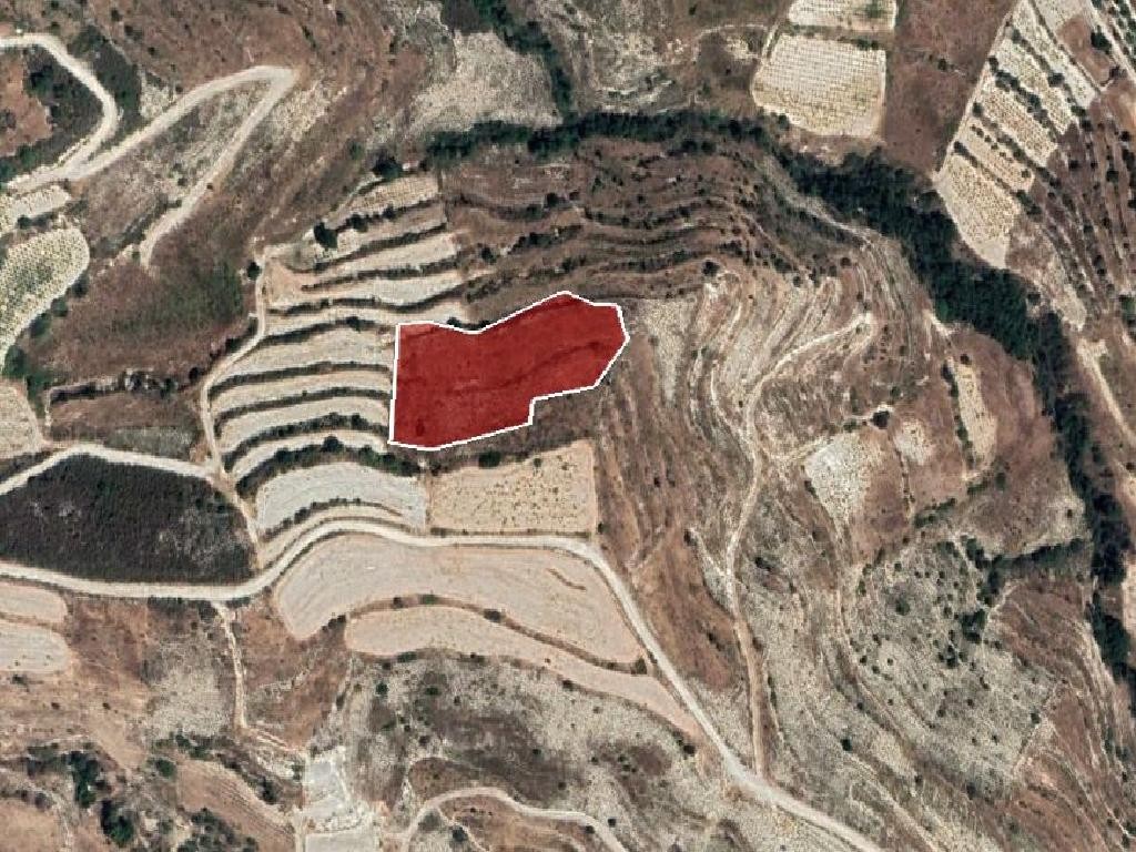 Field - Pachna, Limassol