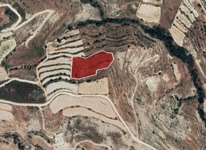Pachna, Limassol Agricultural Field For Sale | WW27915