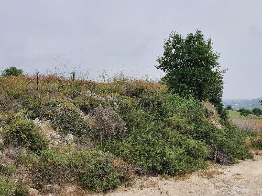 Pachna, Limassol Agricultural Field For Sale | WW27916