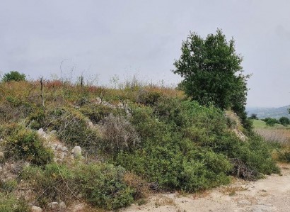 Pachna, Limassol Agricultural Field For Sale | WW27916