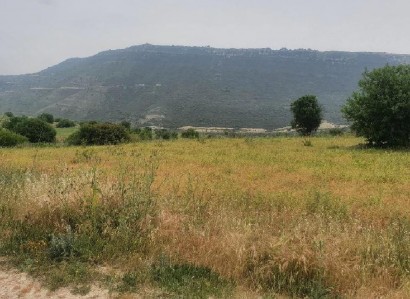 Pachna, Limassol Agricultural Field For Sale | WW27916