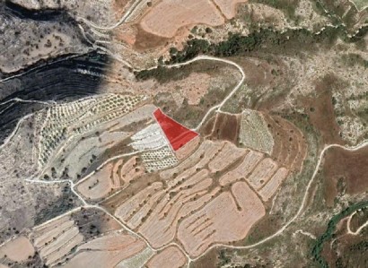 Pachna, Limassol Agricultural Field For Sale | WW27916