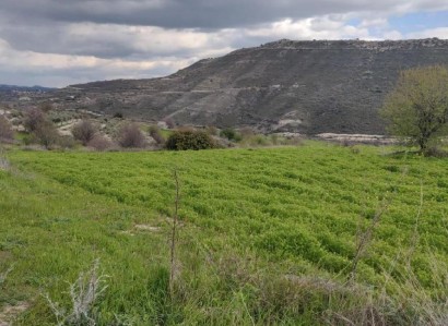 Pachna, Limassol Agricultural Field For Sale | WW27917