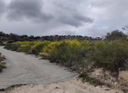 Pachna, Limassol Agricultural Field For Sale | WW27917