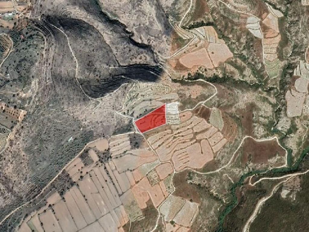 Field - Pachna, Limassol